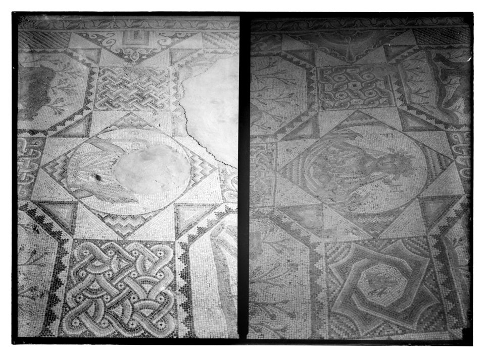 Mosaic floor at Beit Jibrin LOC matpc.09920