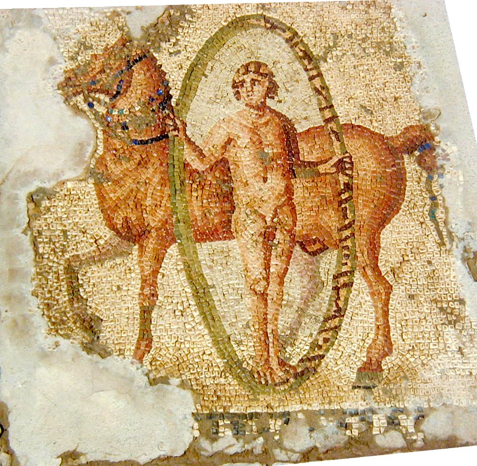 Mosaique des chevaux de Carthage - cercle