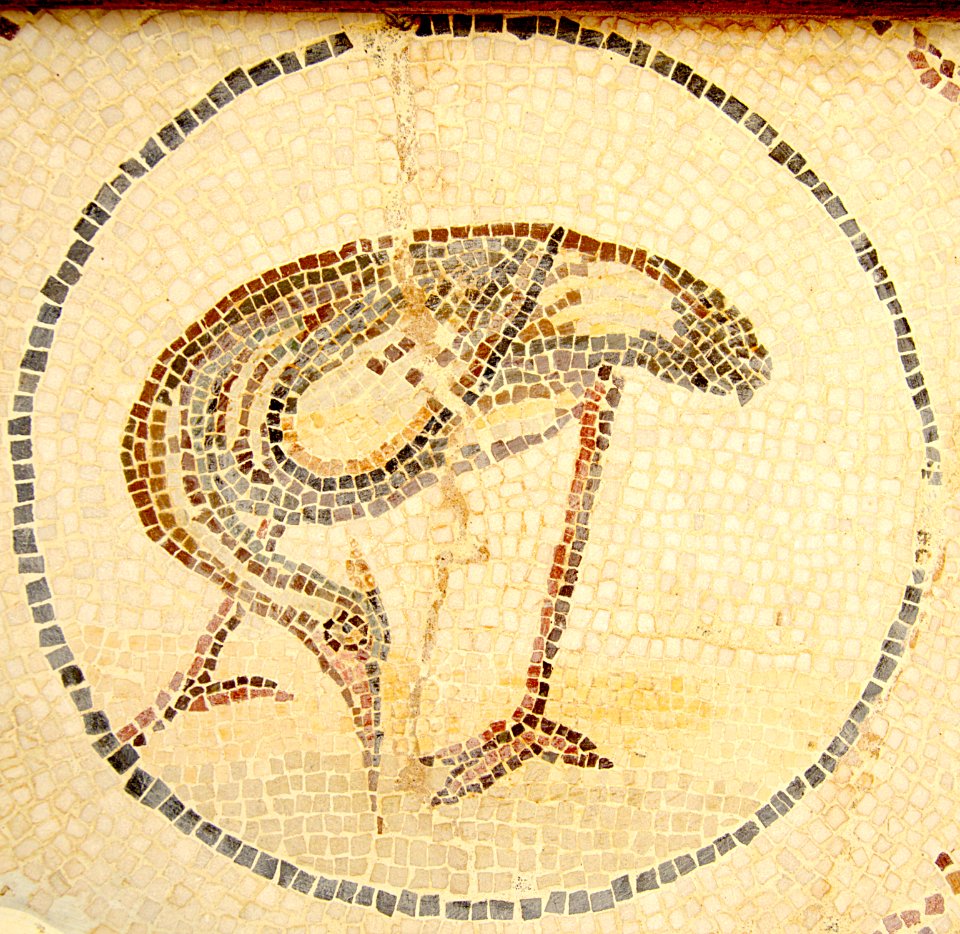 Mosaïque au musée de Lamta, juillet 2013 03