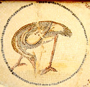 Mosaïque au musée de Lamta, juillet 2013 03