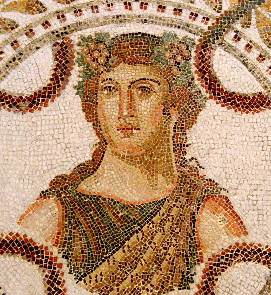Mosaïque au musée de Lamta, juillet 2013 01