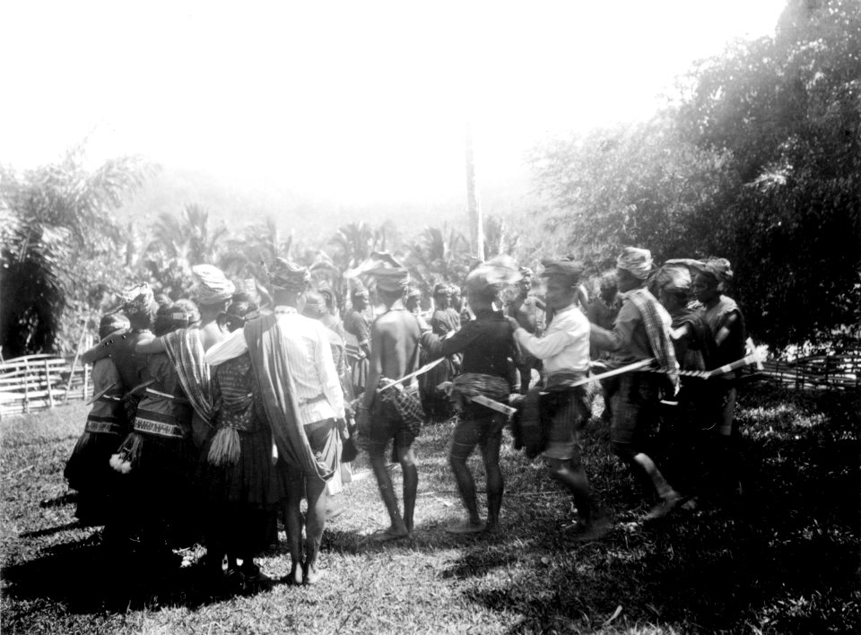 Moraego-dans vid pasanggrahan. Kulawi, Sulawesi. Indonesien - SMVK - 010733