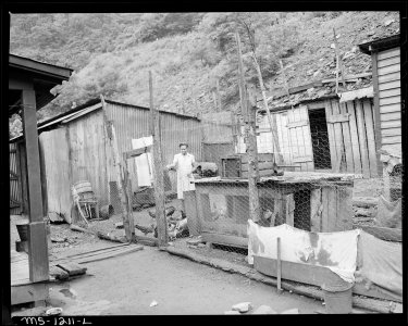Most families have some chickens, hogs, and gardens. Kingston Pocahontas Coal Company, Exeter Mine, Welch McDowell... - NARA - 540730