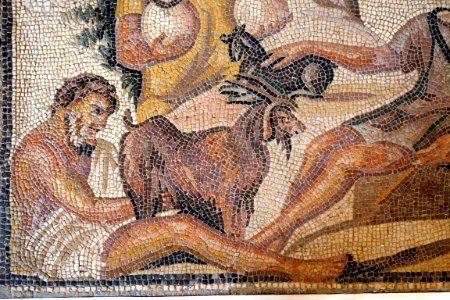 Mosaic of a pastoral scene-Inv 27747-P8190051