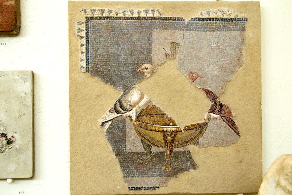 Mosaic with pigeons, ca 100 BC, Delos, 143461