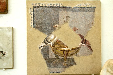 Mosaic with pigeons, ca 100 BC, Delos, 143461