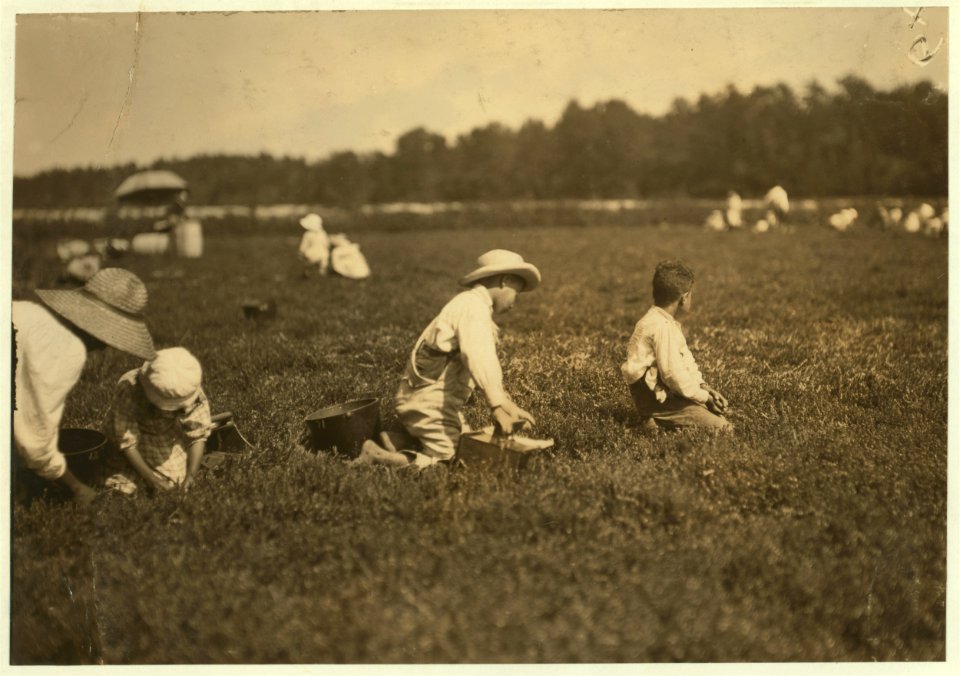 Mother and three children - Roderez family, E. Falmouth, Mass. James - 8 years; Manuel 5; Marion, the baby, 4. They pick 28 measures a day. Mother sayd, 'We can't pick fast cause the baby is LOC nclc.00183