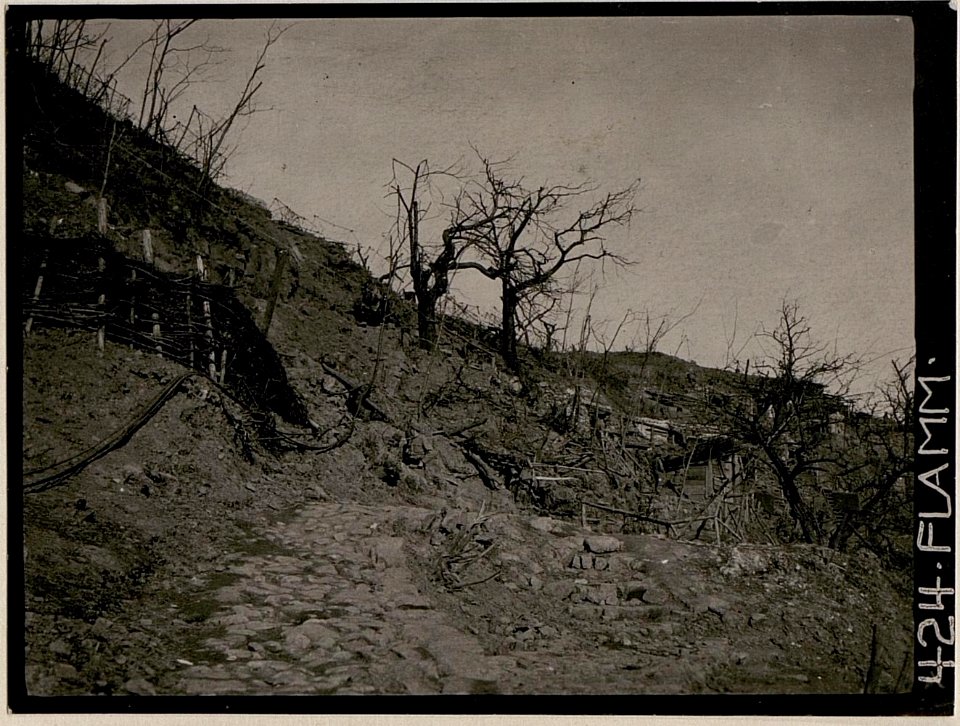 Motiv auf Podgora-Süd (BildID 15732565)