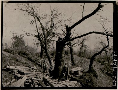 Motiv aus dem Abschnitt Podgora-Nord, östliche Höhe 206 (BildID 15732579)