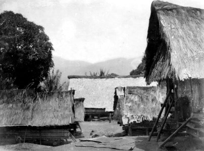 Motiv från byn. 2 fotos. Lokal, Kantewoe, Central-Celebes. Foto, Walter Kaudern, sept.-okt. 1918 - SMVK - 010786