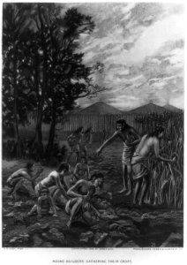 Mound Builders Gathering Their Crops LCCN2006677951