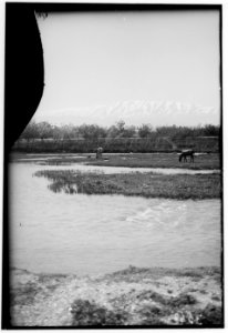 Mount Hermon and vicinity. Pharpar and Hermon. Snow clad Hermon from Nahar Barbar LOC matpc.00224
