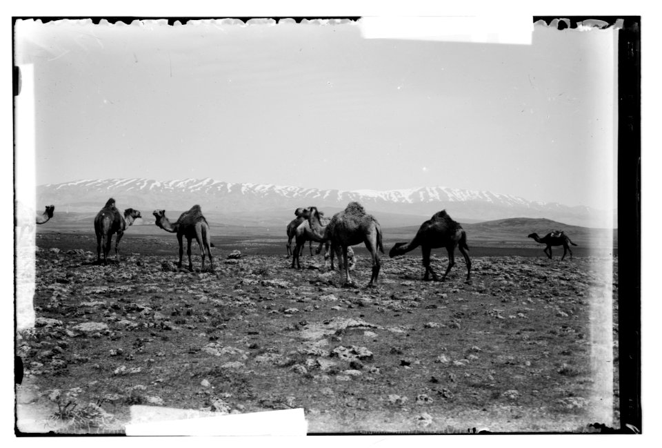 Mount Hermon, scene of the Transfiguration. Mount Hermon from the east LOC matpc.05571