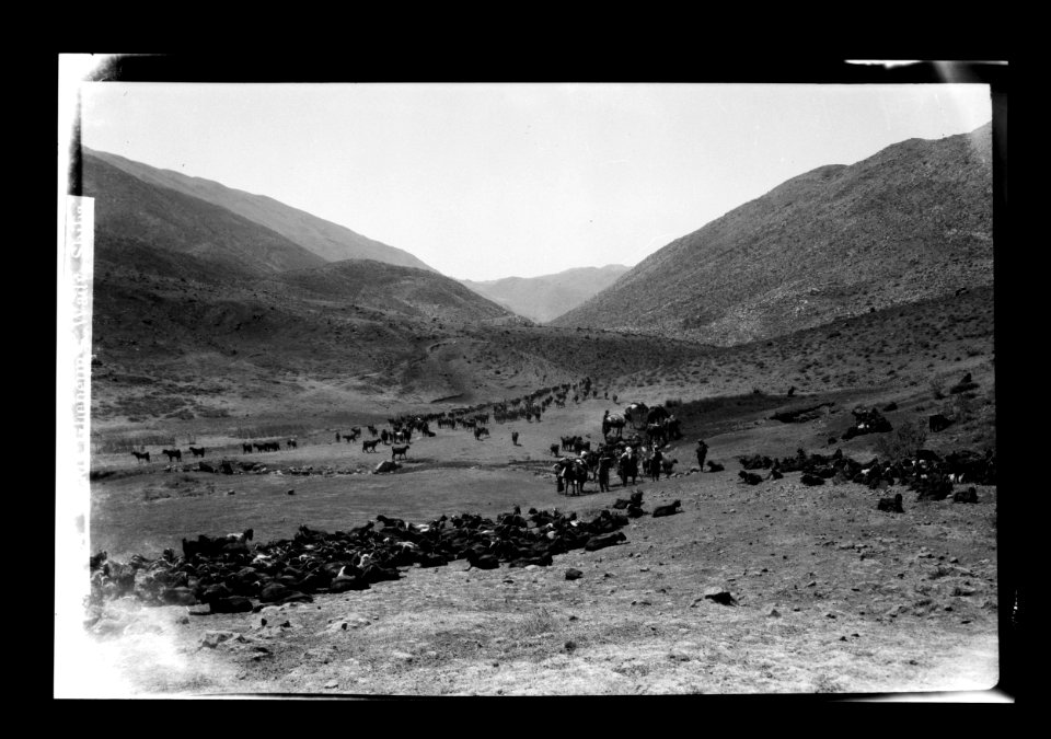 Mount Hermon, scene of the Transfiguration. Wady Gheneim, Wady Shiba LOC matpc.22606