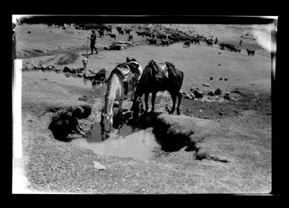 Mount Hermon, scene of the Transfiguration. Spring of Ain el-Gheneim LOC matpc.22607