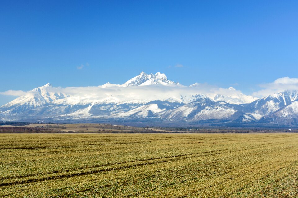 Landscape panoramic at the court of