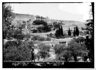 Mount of Olives (Jebel Et-Tur) etc. General view of Garden of Gethsemane LOC matpc.07510
