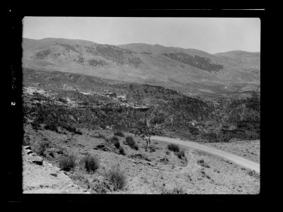 Mount Lebanon. Beirut. Aleih, Ras-el-Metn District. Lebanon. The Baruk cedars. Distant view of the grove LOC matpc.15448