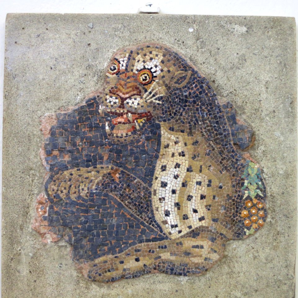 Mosaic Panther 100 BC Museum Delos Zde13M154