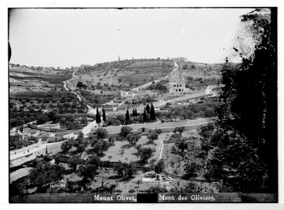 Mount of Olives (Jebel Et-Tur) etc. Mount of Olives from the west LOC matpc.07509