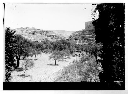 Mount of Olives (Jebel Et-Tur) etc. Valley of Jehosaphat LOC matpc.07522