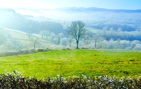 Nature field winter landscape photo