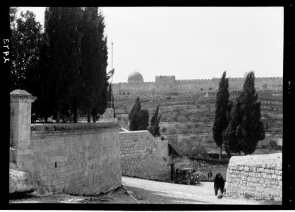 Mount of Olives and Gethsemane. Entrance to garden of Genthsemane showing city wall, Golden Gate LOC matpc.15164