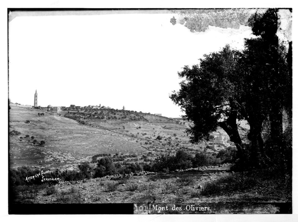 Mount of Olives (Jebel Et-Tur) etc. Mount of Olives, from the northwest LOC matpc.07508