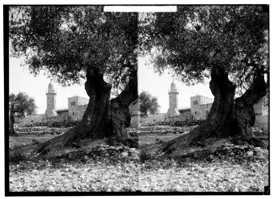 Mount of Olives, Bethany, etc. Chapel of the Ascension LOC matpc.00951