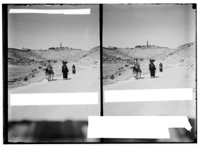 Mount of Olives, Bethany, etc. Mount of Olives from the Bethany Road LOC matpc.00946