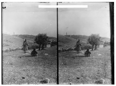 Mount of Olives, Bethany, etc. Mount of Olives from the N.W. LOC matpc.00945