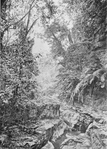 Mountain Gorge, Island of Formosa