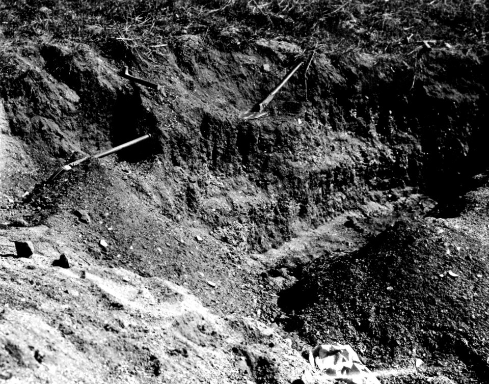 Mound Alto, San Francisco Bay, Californien, utgrävning. Kalifornien. USA - SMVK - 004550