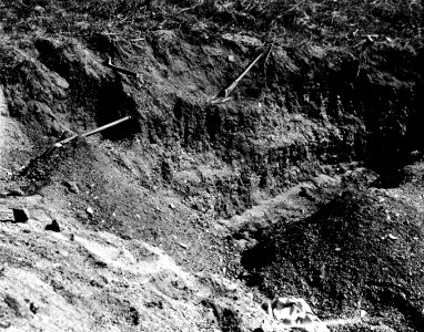 Mound Alto, San Francisco Bay, Californien, utgrävning. Kalifornien. USA - SMVK - 004550
