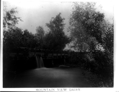 Mountain view dairy- flume and waste gate on Farmers canal. Kern County, Cal. LCCN2016652695