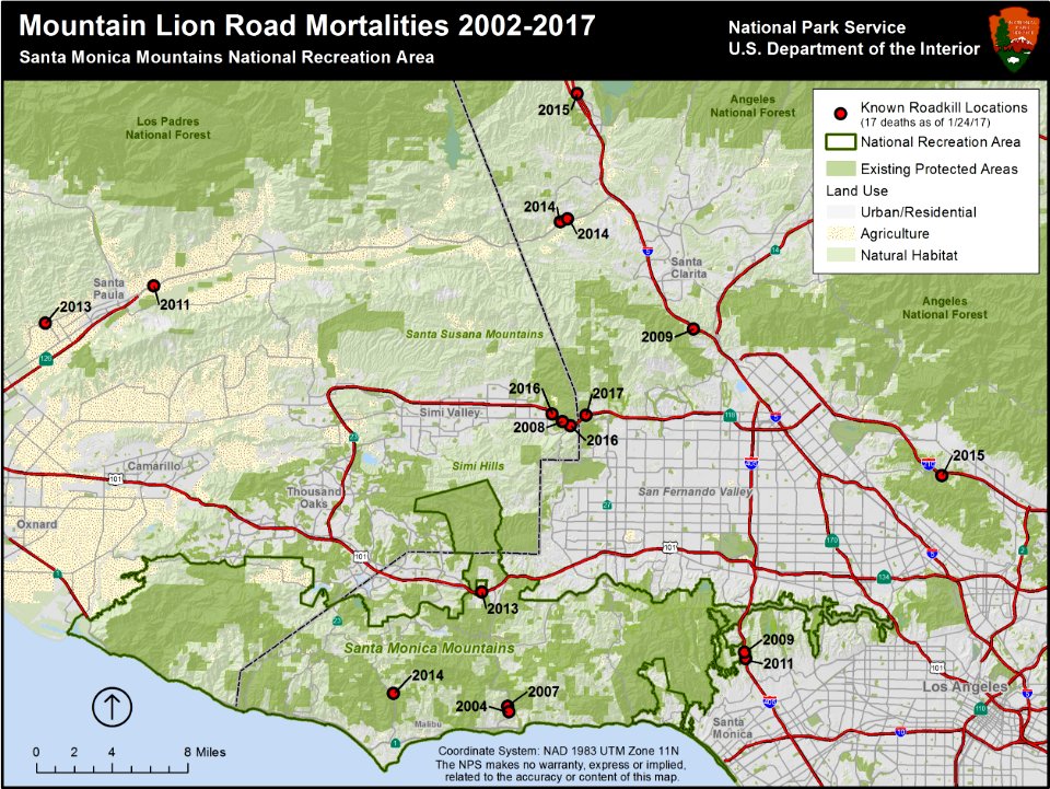 Mountain Lion Road Mortalities (32159817330)