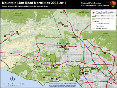 Mountain Lion Road Mortalities (32159817330)