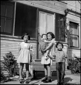 Mountain View, California. Four sisters in the Mitarai family. Their father operated an industrial . . . - NARA - 537607 photo