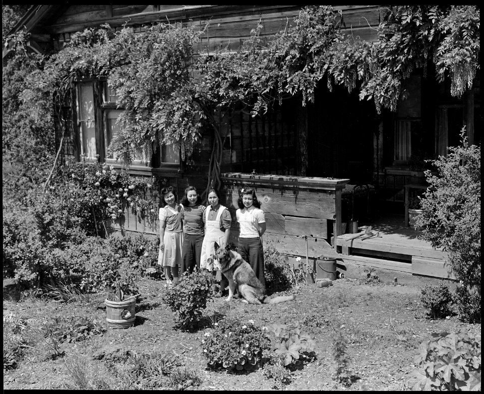 Mountain View, California. Members of a family who, before evacuation, operated a 20-acre farm in S . . . - NARA - 537474