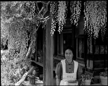 Mountain View, California. Mother of six children born in this country. Before evacuation, the fam . . . - NARA - 537473