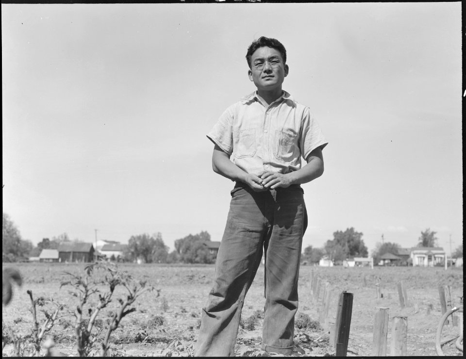 Mountain View, California. Oldest son of the Shibuya family, a graduate in plant pathology of the C . . . - NARA - 536429