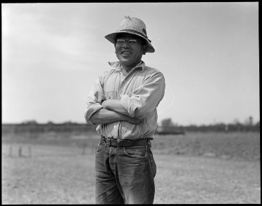 Mountain View, California. Ryohitsu Shibuya, successful chrysanthemum grower, who arrived in this c . . . - NARA - 537529