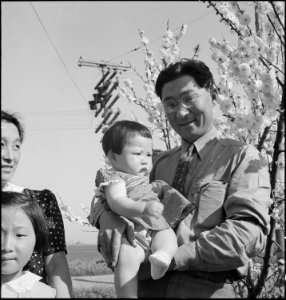 Mountain View, California. Henry Mitarai, 36-year-old successful, large-scale farm operator, holdin . . . - NARA - 537615