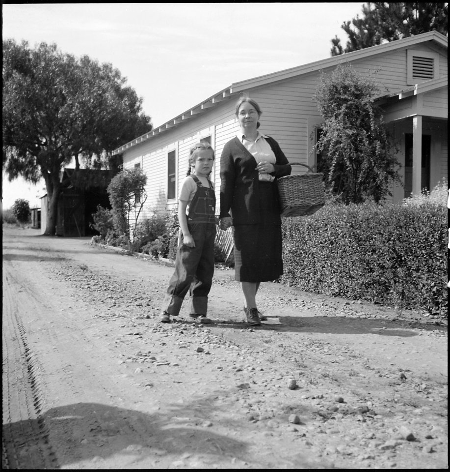 Mountain View, California. Scene on a Santa Clara County berry farm leased before evacuation to thi . . . - NARA - 536447