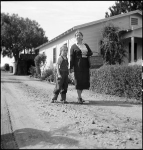 Mountain View, California. Scene on a Santa Clara County berry farm leased before evacuation to thi . . . - NARA - 536447