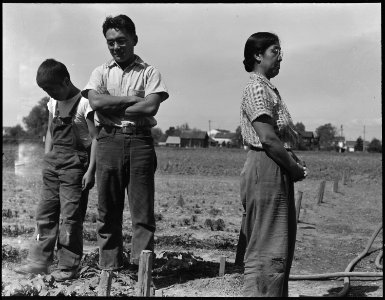 Mountain View, California. Mother and oldest son of the Shibuya family have been weeding in their 2 . . . - NARA - 537532