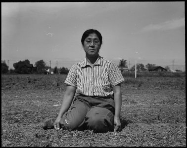 Mountain View, California. Mrs. Ryohitsu Shibuya, wife of successful chrysanthemum grower, pictured . . . - NARA - 537531