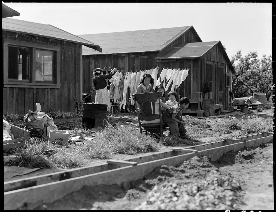 Mountain View, California. These ranch houses are typical in many rural sections where residents of . . . - NARA - 537834