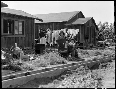 Mountain View, California. These ranch houses are typical in many rural sections where residents of . . . - NARA - 537834