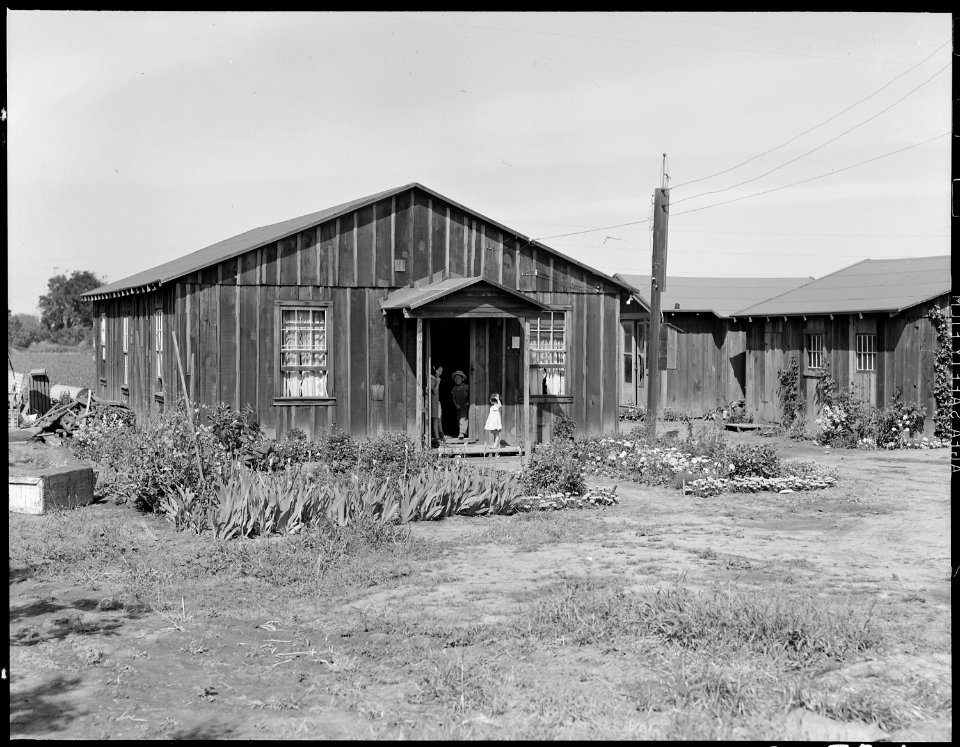 Mountain View, California. Typical California ranch houses of residents of Japanese ancestry who ar . . . - NARA - 537835